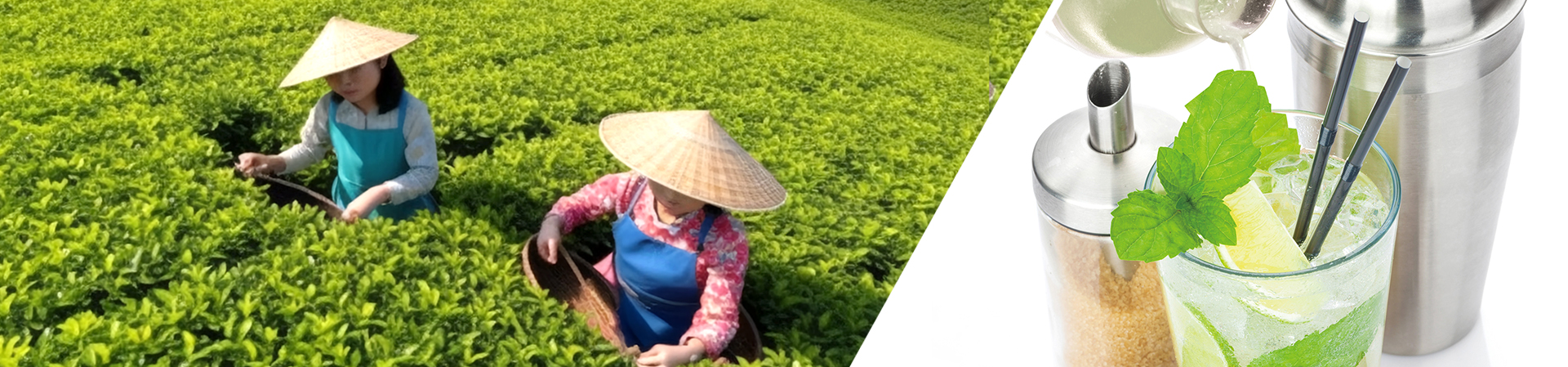 坚持健康